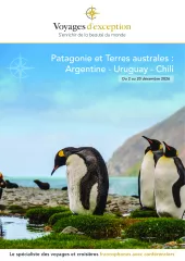 Patagonie et Terres australes : cap sur la Terre de Feu