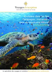 Croisière dans les Îles Galápagos : Immersion dans un sanctuaire naturel