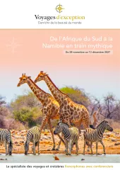 Aventures en Namibie et en Afrique du Sud en train