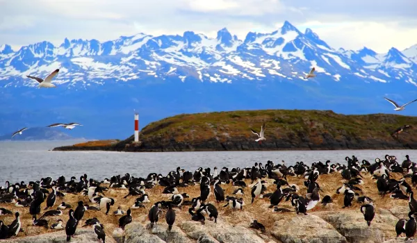 Jour 3 : Ushuaia I Canal de Beagle