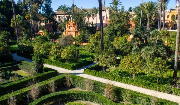 Jour 3 : Visite de l'Alcázar de Séville et de ses jardins