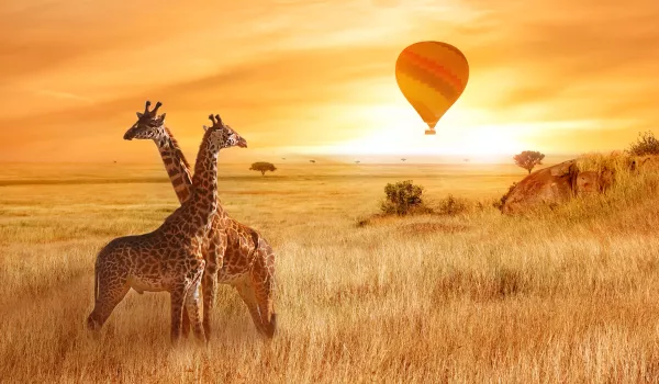 Survol en montgolfière du Serengeti au départ de Ronjo camp