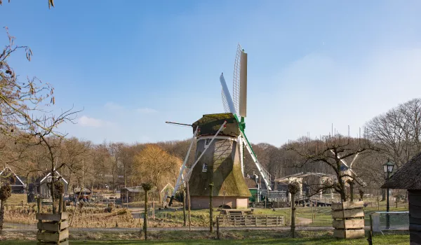 Jour 6 - Le Musée de plein air d'Arnhem