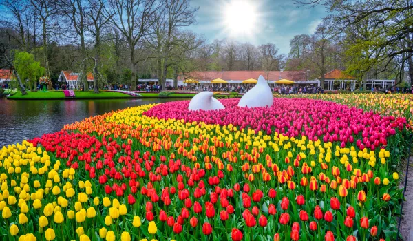 Jour 7 - Visite du Parc de Keukenhof, musée Van Gogh et canaux