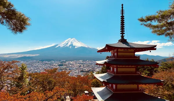 Jour 4 : Mont Fuji (Shimizu)  I Monts et plantations de Shimizu