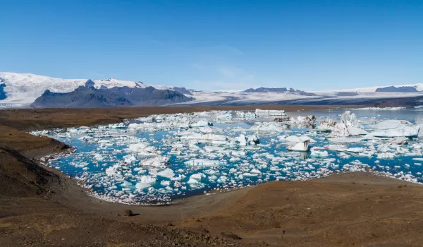 Jour 7 : Djupivogur  I Jökulsarlon, la Lagune du glacier