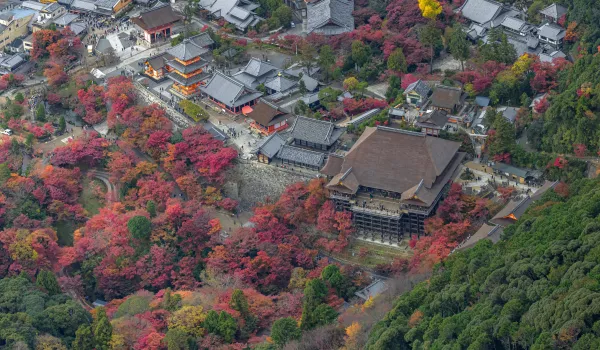 Jour 16 : Shimizu I Monts et plantations de Shimizu