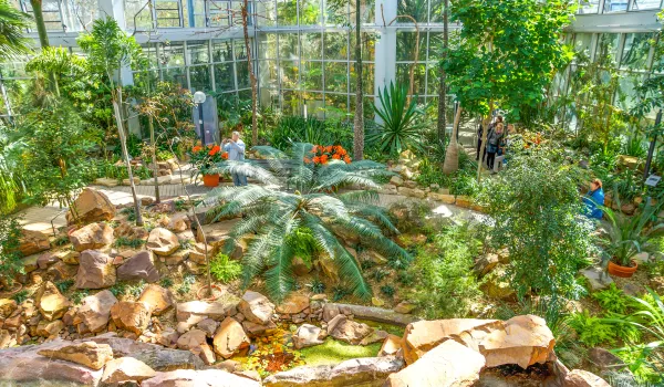 Jour 2 : Francfort, un monde végétal sous verre : écologie florale et jardins du monde