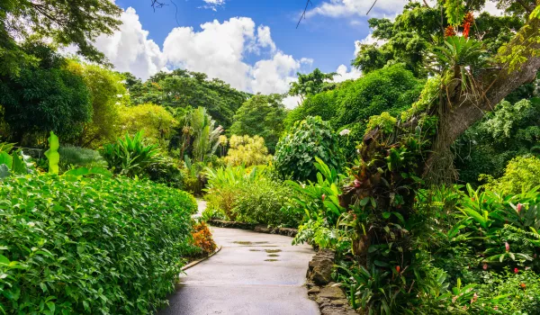 Jour 6 : Deshaies I Jardin Botanique et Distillerie Reimonenq