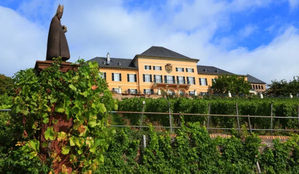 Jour 5 : Rudesheim l La rose et levin