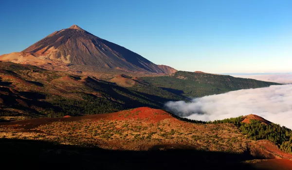 Jour 9 : Santa Cruz | Le parc national Cañadas del Teide