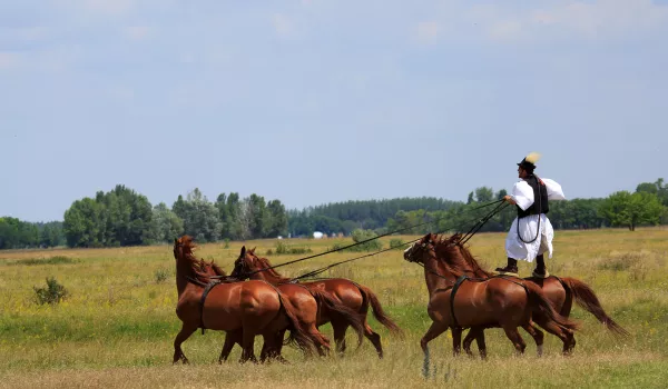 Jour 4 : Kalocsa I La Puszta