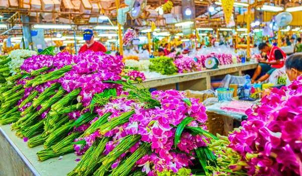 Jours 13 et 14 : Au fil des khlongs et des marchés de Bangkok