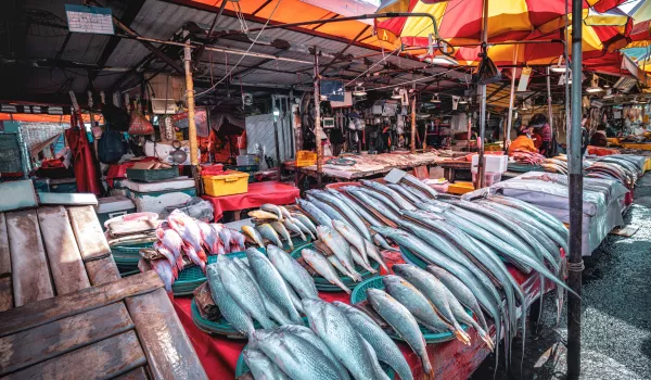 Jour 10 : Busan (Corée du Sud) I Visite de Busan