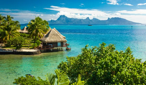 Forfait Découverte (5 excursions)