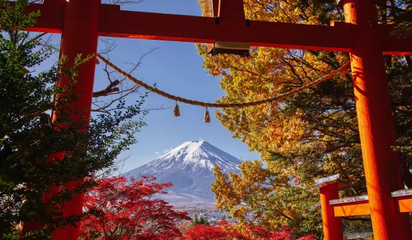 Jour 4 : Mont Fuji (Shimizu)  I Vallée d'Owakudani et croisière