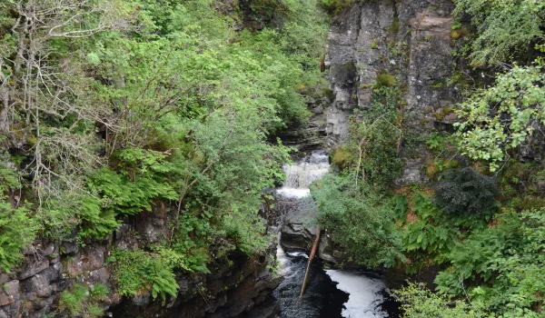Jour 7 : Ullapool I Gorge de Corrieshalloch