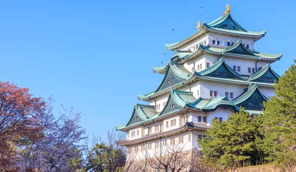 Jour 4 : Nagoya I Essentiels de Nagoya