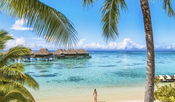 Forfait "Découverte" 5 excursions