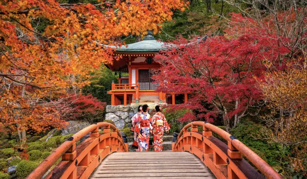 Jour 5 : Kobe I Découverte de Kyoto, cœur culturel du Japon