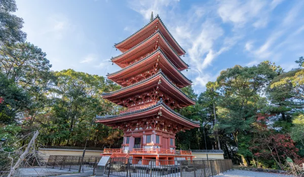 Jour 11 : Kochi I Temple et jardin de Kochi