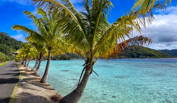 Jour 6 : Taha'a I Découverte de l'île en 4x4