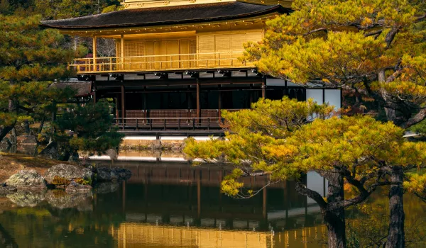 Jour 5 : Osaka I Pavillon d’Or et traditions vivantes