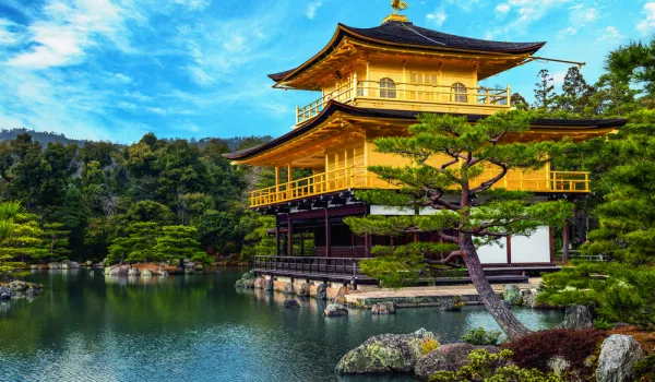 Jour 12  : Osaka I Kyoto sacrée et dîner bœuf de Kobe