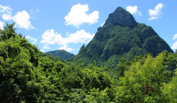 Jour 8 | Sainte-Lucie : Forêt, volcan & mer turquoise en catamaran