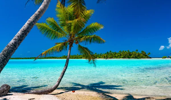 Jour 6 : Rangiroa I Lagon Bleu et oiseaux de mer