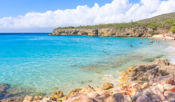 Jour 12 | Curaçao : Entre tortues marines et eaux cristallines