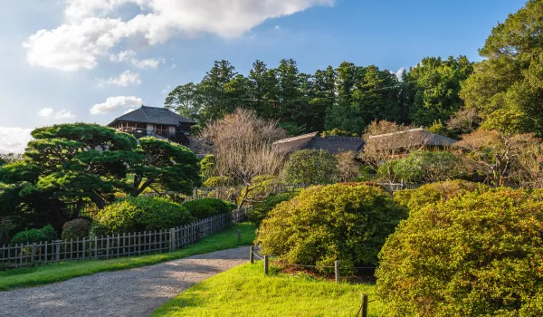 Jour 16 : Hitachinaka I Les plus beaux jardins du Japon