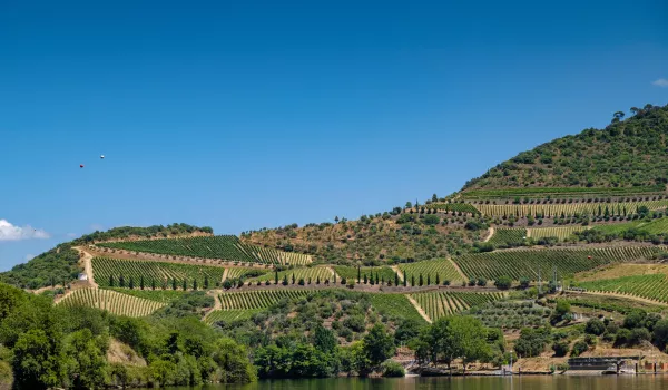 Jour 5 | Ferradosa : Panoramas du Douro et traditions viticoles
