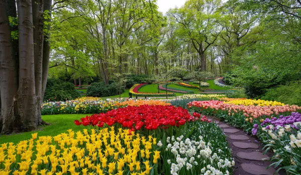 Jour 2 : Amsterdam I Le Parc floral de Keukenhof