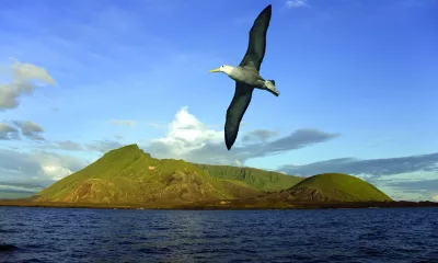 Île Isabela