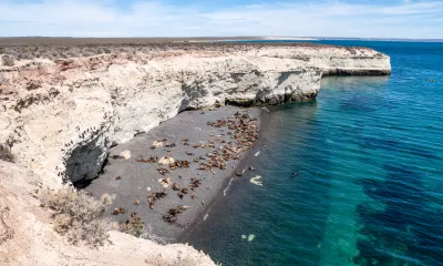 Puerto Madryn (Argentine)