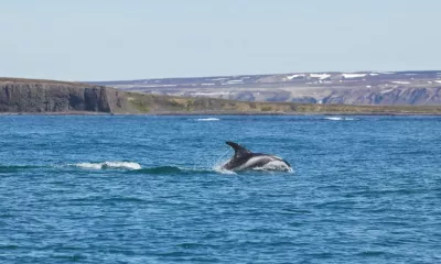 Siglufjördur / Flatey / Húsavík