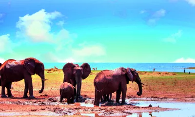 Lac Kariba - Parc national de Matusadona