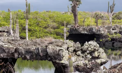 Île Isabela