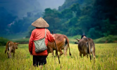 Phnom Penh - Navigation - Kampong Tralach 