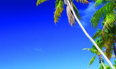 Tikehau