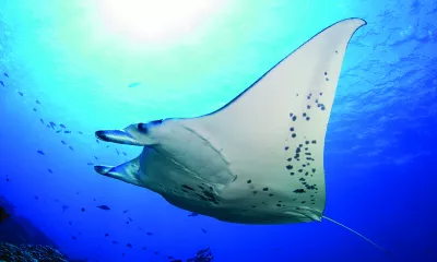 Rangiroa