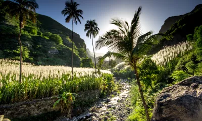 Mindelo / Porto Novo (Île de Santo Antão) 