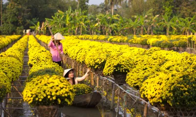 Sa Dec/Vinh Long/Cai Be