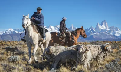 Torres del Paine - El Calafate (Chili-Argentine)