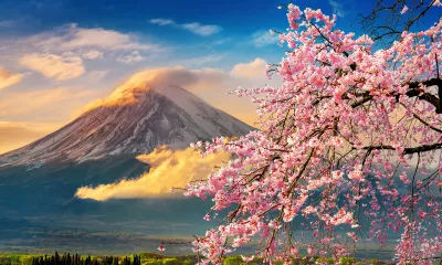 Mont Fuji (Shimizu)