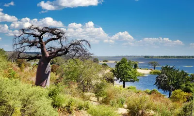 Parc national de Chobe