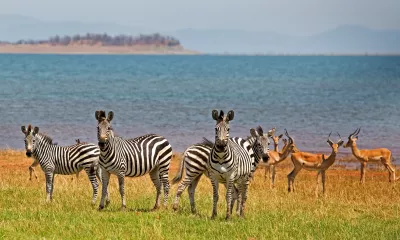 Kasane - Lac Kariba