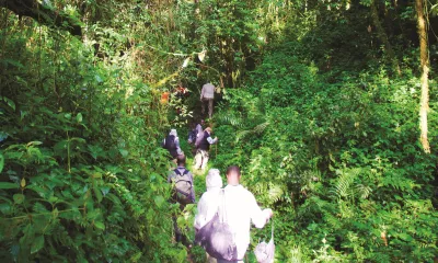 Parc national de Kibale