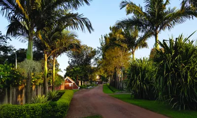 Parc national du Lac Mburo / Entebbe / Ville de retour *